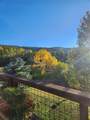 22755 Snowbird Trail - Photo 38