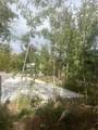 228 Sunshine Loop - Photo 3