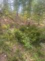 228 Sunshine Loop - Photo 5