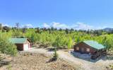 1319 Kiowa Street - Photo 15