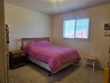 1309 Mount Elbert Drive - Photo 11