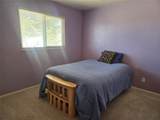 1309 Mount Elbert Drive - Photo 12