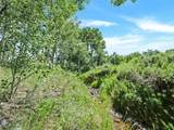 26800 State Hwy 9 - Photo 19