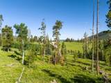 TBD Pima Way - Photo 17