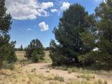 1344 Silverheels Road - Photo 18
