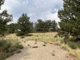 1344 Silverheels Road - Photo 23