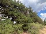 1344 Silverheels Road - Photo 24