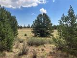 1344 Silverheels Road - Photo 26