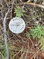 1344 Silverheels Road - Photo 30