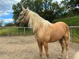 27300 County Road 43#A - Photo 12