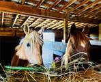 27300 County Road 43#A - Photo 13