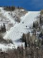 2420 Ski Trail Lane - Photo 18