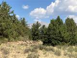 1344 Silverheels Road - Photo 14