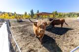 32350 Los Ranchos Road - Photo 43