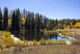32350 Los Ranchos Road - Photo 8