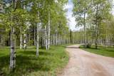 32350 Los Ranchos Road - Photo 47