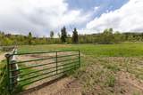 32350 Los Ranchos Road - Photo 48
