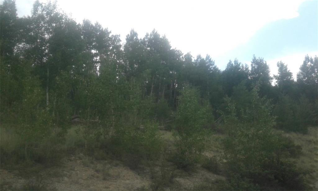 293 Kiowa Street - Photo 1
