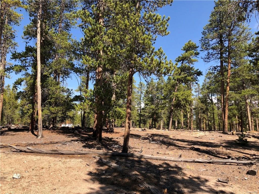776 Peak View Dr - Photo 1