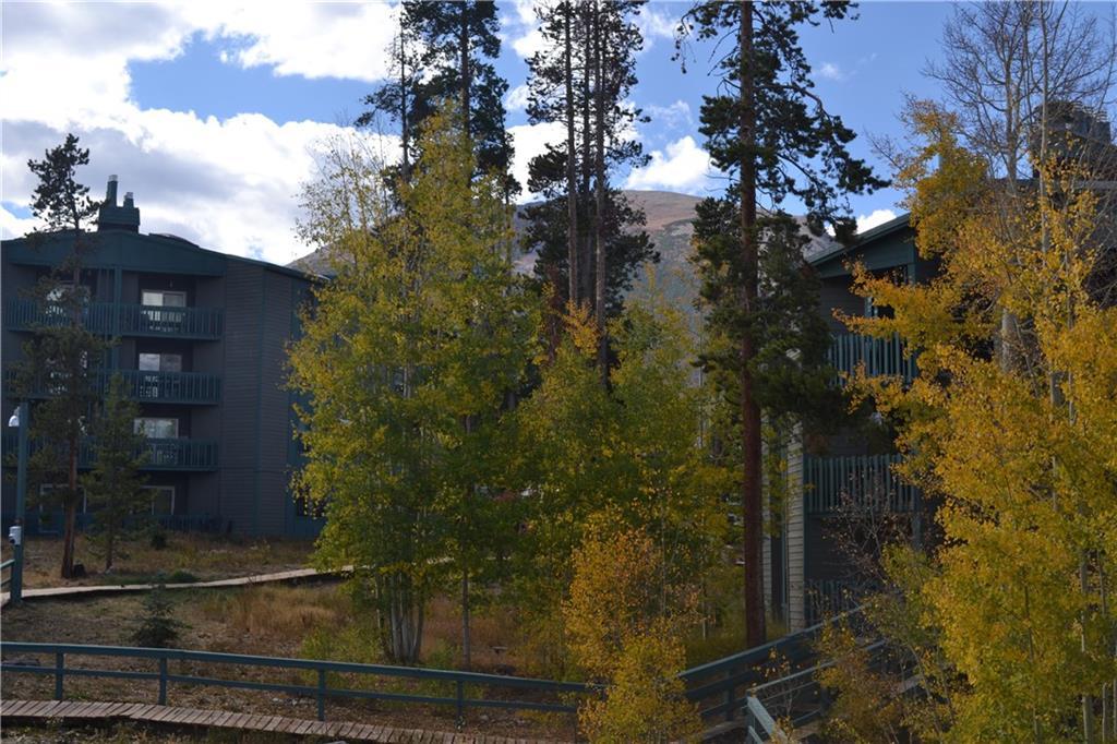 2300 Lodge Pole Circle - Photo 1