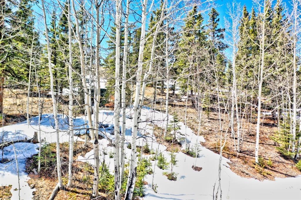 115 Haida Way - Photo 1
