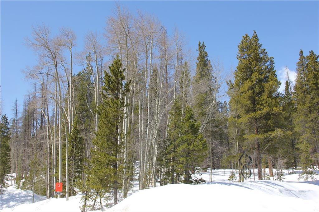 364 Gold King Way - Photo 1