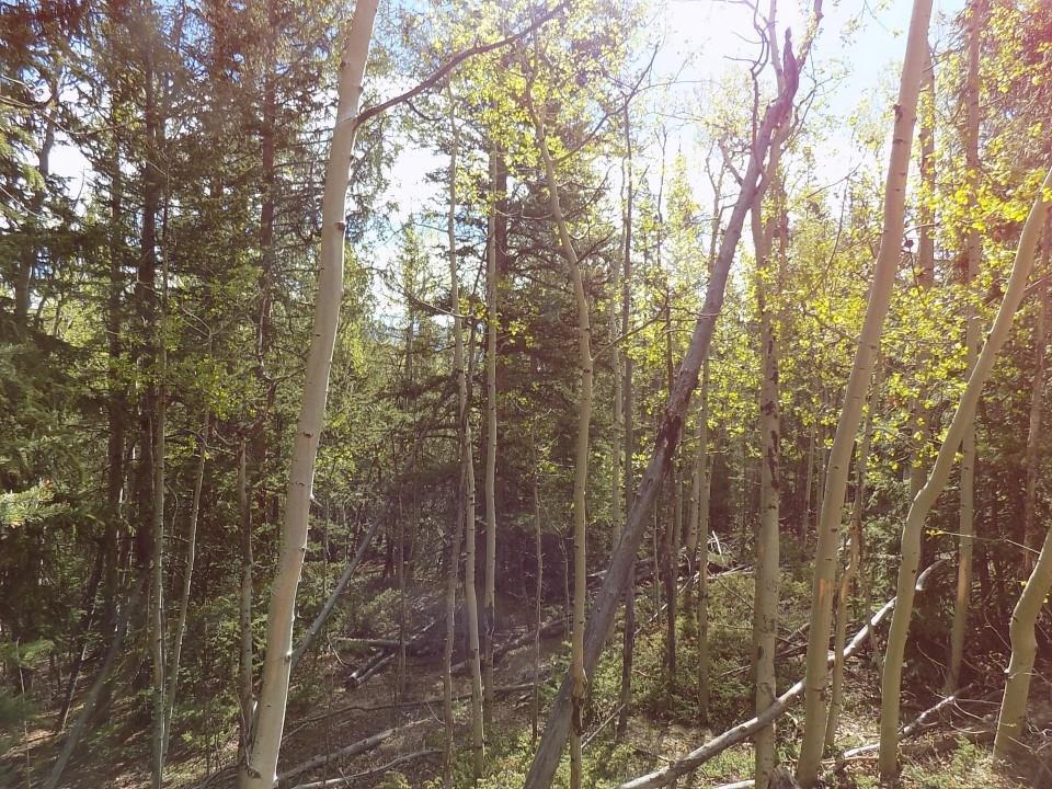 00 Boreas Circle - Photo 1