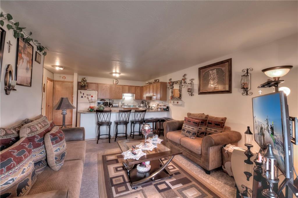 1173 Straight Creek Drive - Photo 1