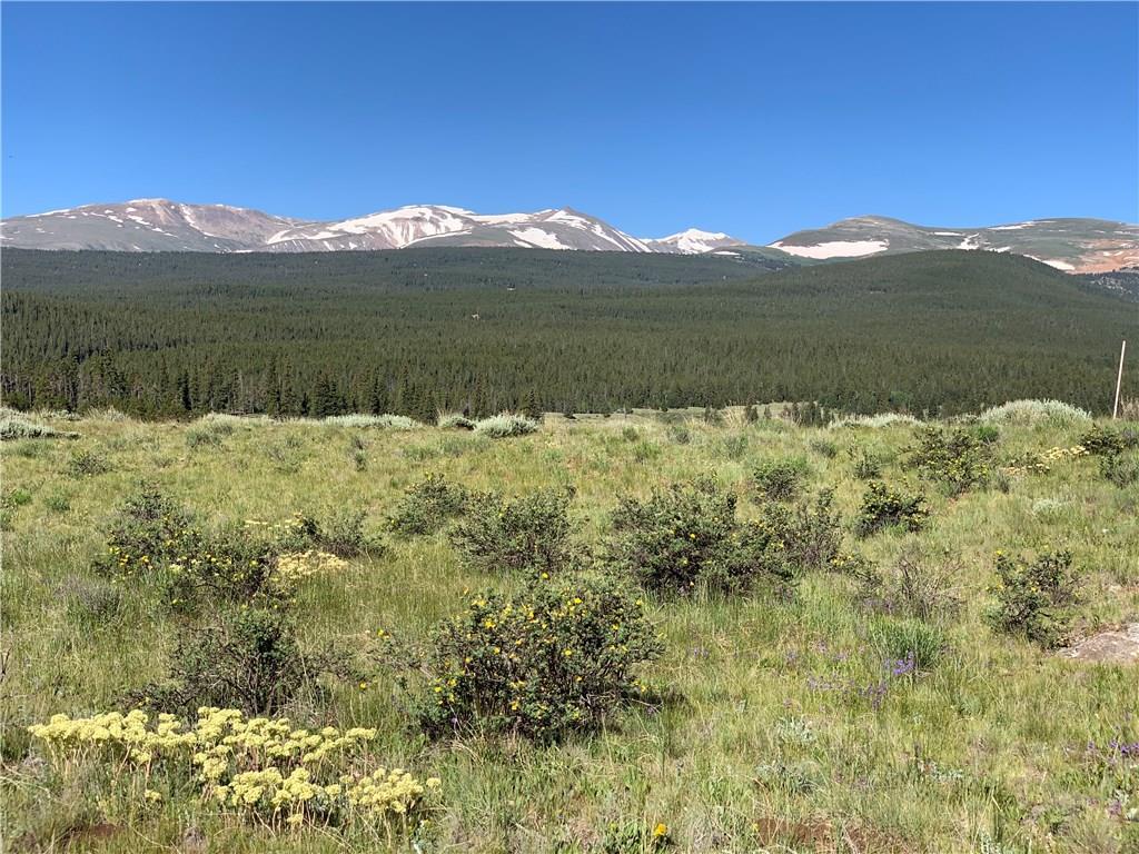 TBD Ice Axe Court - Photo 1