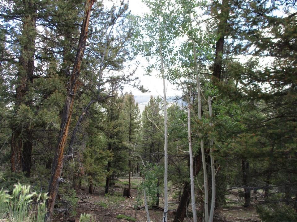 00 Middle Fork Vista - Photo 1
