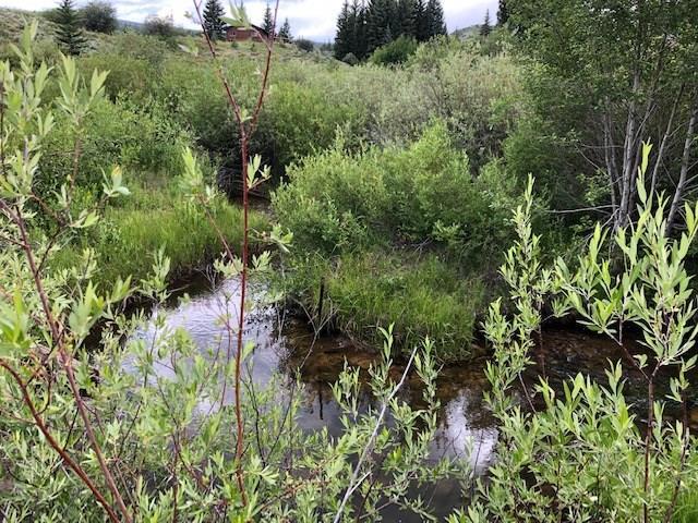 561 & 589 County Road 192 - Photo 1