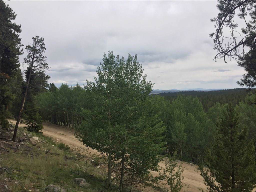 25 Forty Road - Photo 1