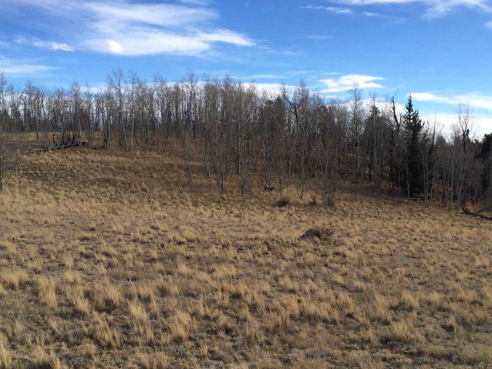 72 Warrior Court - Photo 1