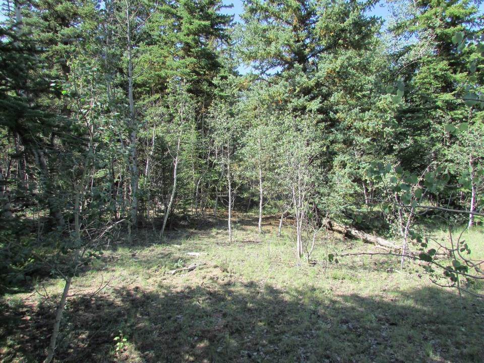 3466 Stagestop Road - Photo 1
