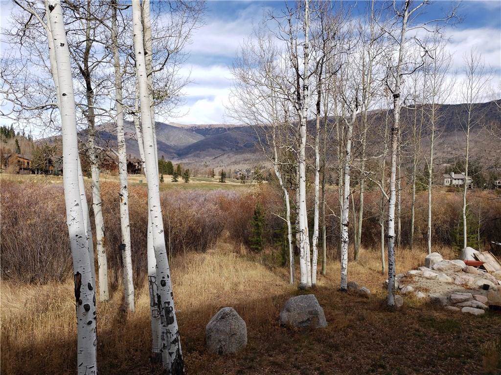 734 Wild Rose Road - Photo 1