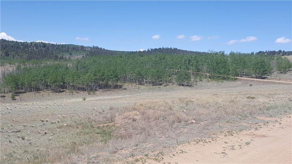 176 & 198 Hawk Way - Photo 1