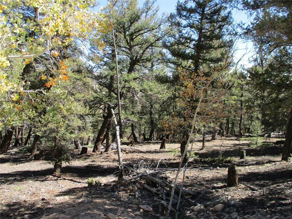 00 Middle Fork Vista - Photo 1