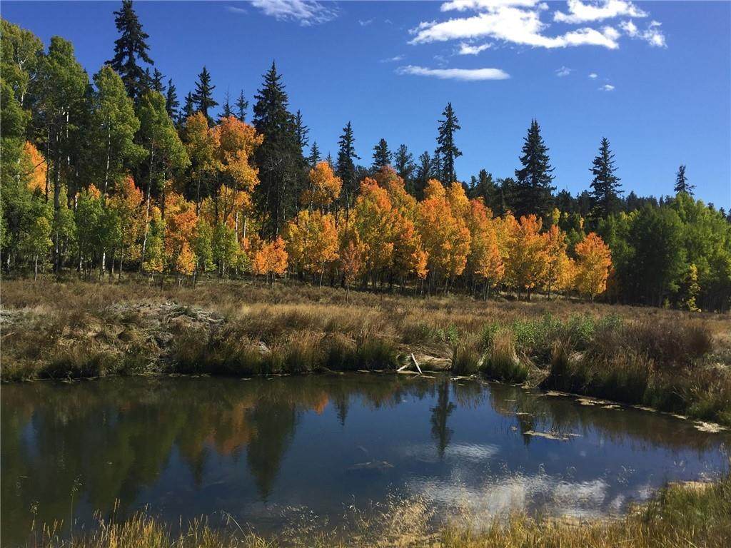 930 Ouray Trail - Photo 1