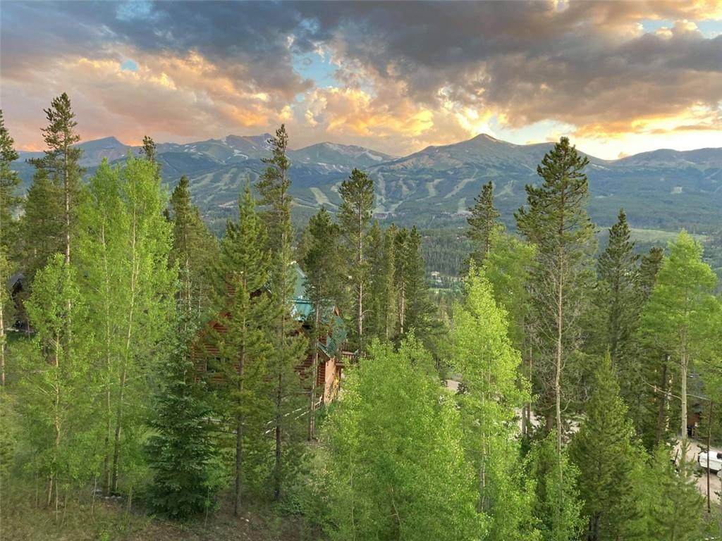 119 Bearing Tree Road - Photo 1