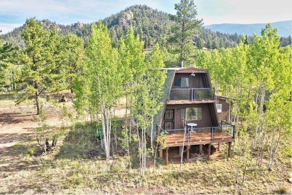 62 Bonus Gulch Way - Photo 1