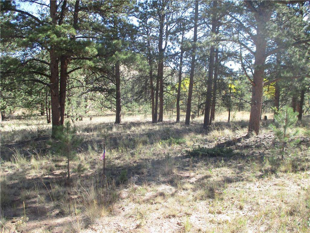166 Haystack Road - Photo 1
