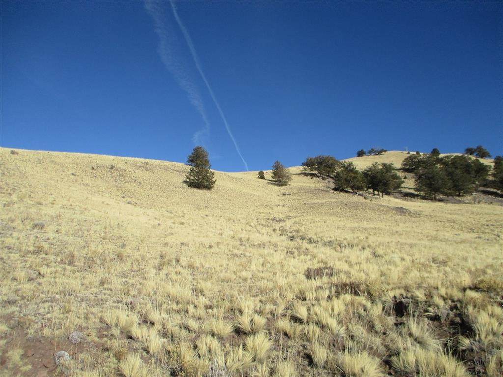 000 Hartsel Ranch - Photo 1