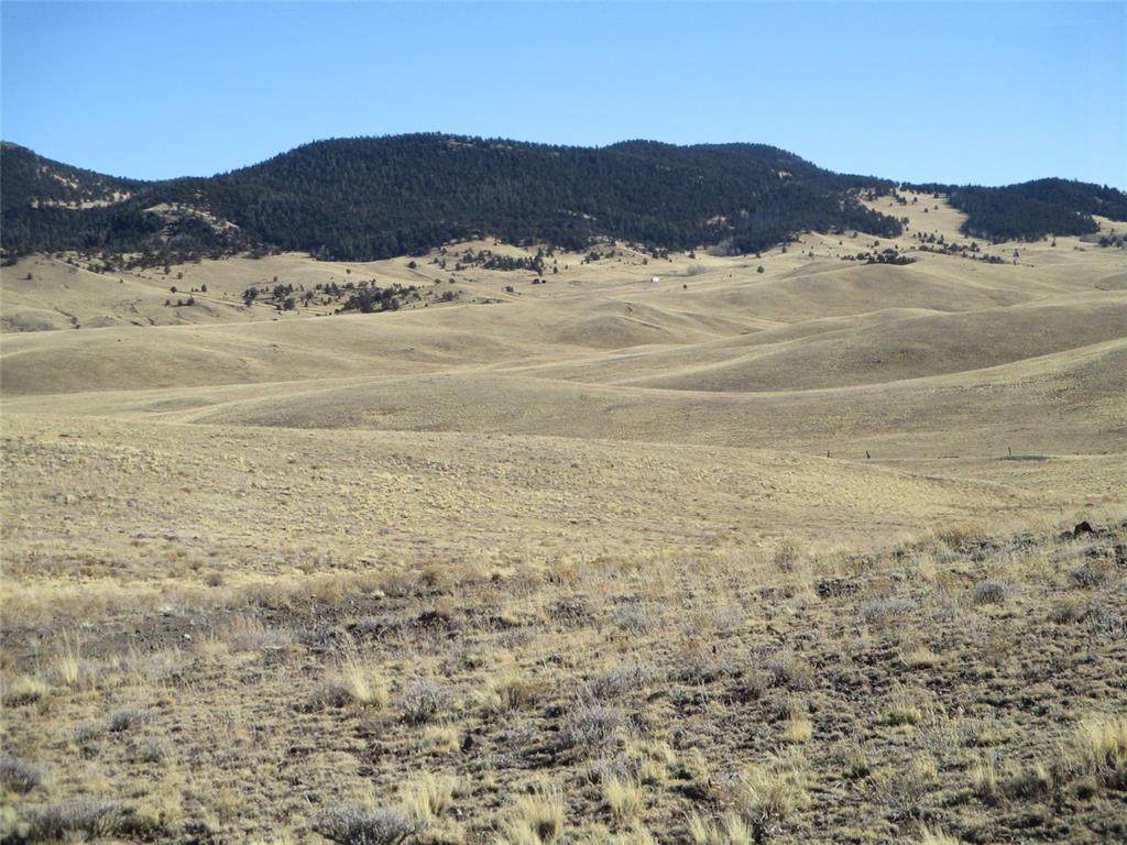 00 Estates Of Colorado - Photo 1