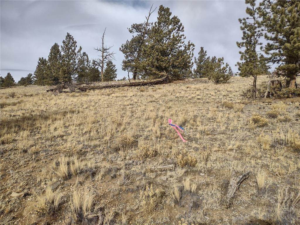 829 Grand Teton Drive - Photo 1