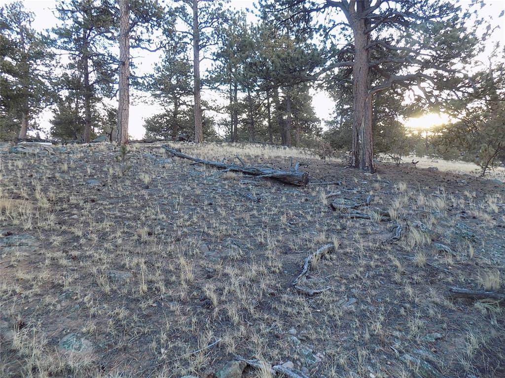 730 Superstition Trail - Photo 1