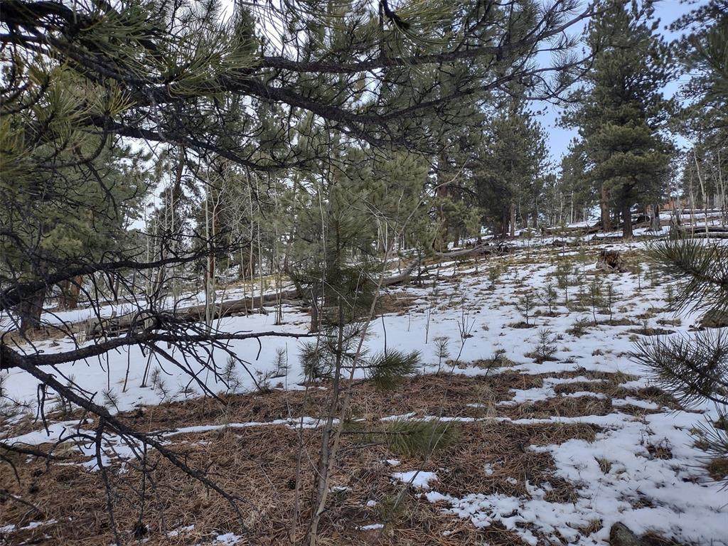 525 Gross Road - Photo 1