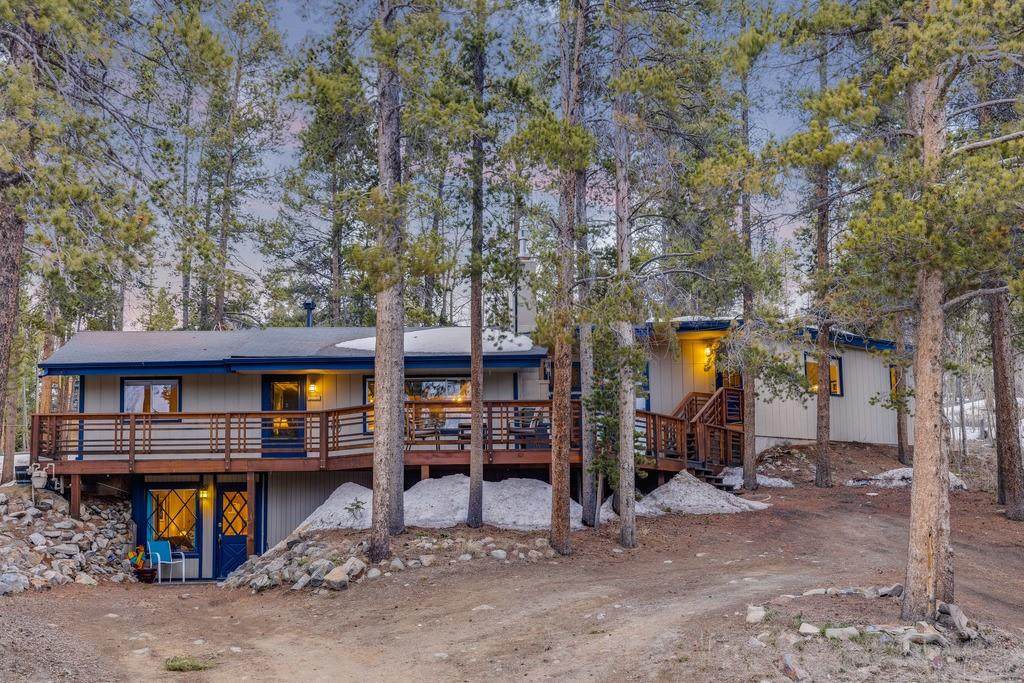 1981 Boreas Pass Road - Photo 1