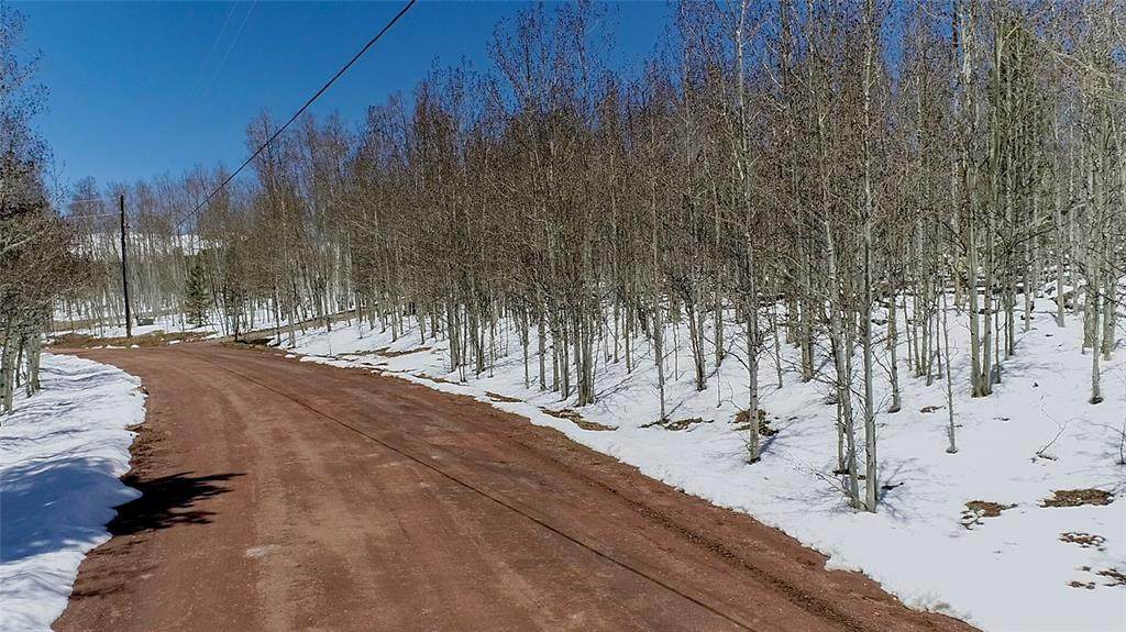 TBD Little Baldy Circle - Photo 1