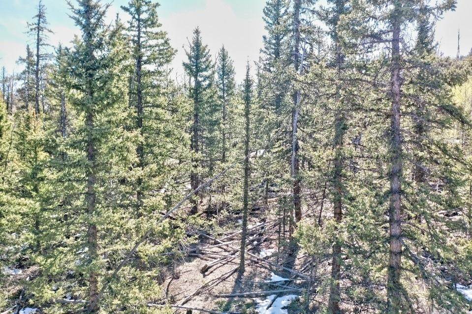 260 Nez Perce Road - Photo 1