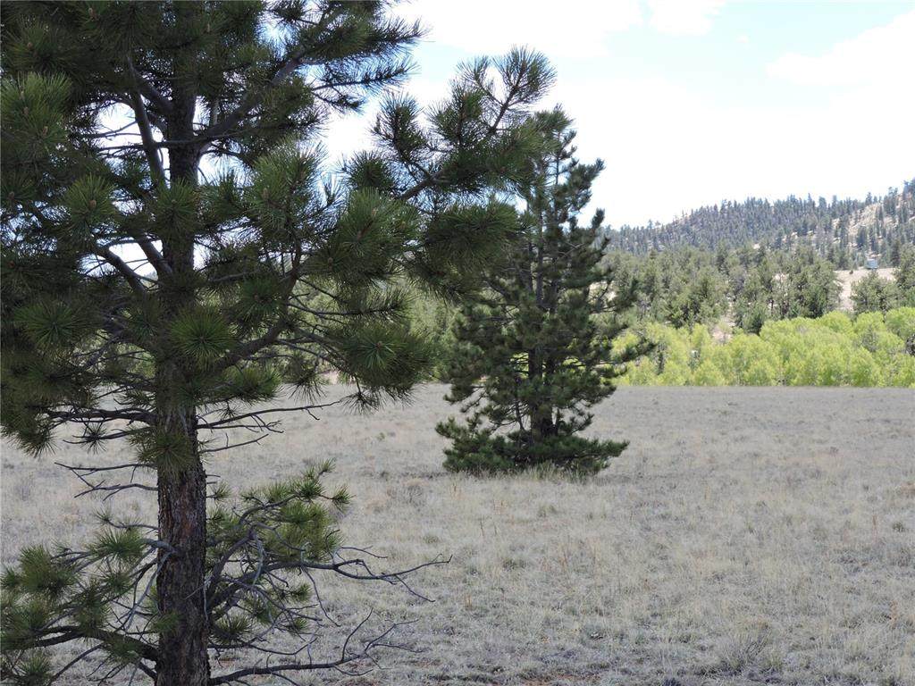 3354 Larimer Drive - Photo 1